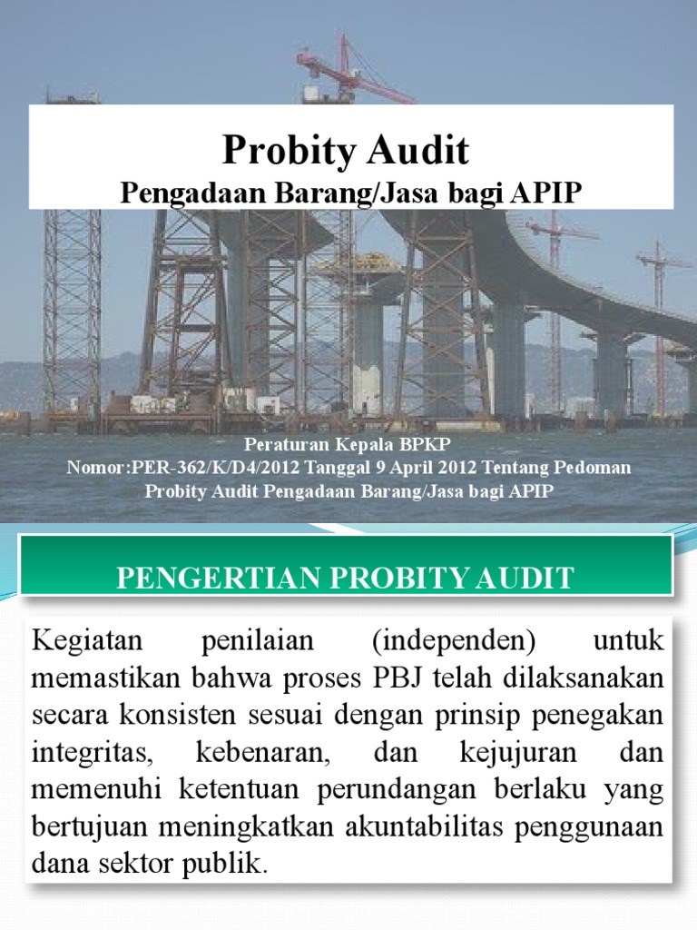 Pedoman Probity Audit Pengadaan APIP | PDF