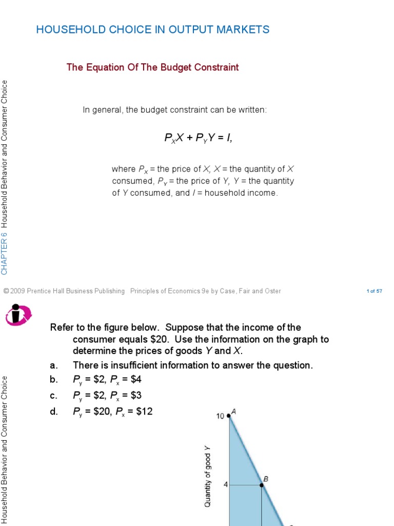 Concept Exercise - Cons. Behaviour | PDF | Utility | Marginal Utility