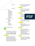 The Musculoskeletal System