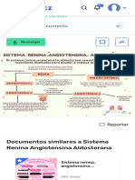 Sistema Renina Angiotensina Aldosterona Testosterona Resumen de Enfermería Apuntes de Enfermería Udocz