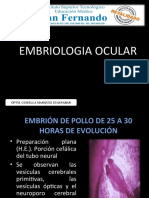 Embriologia Ocular