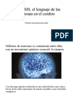 SINAPSIS, El Lenguaje de Las Neuronas en