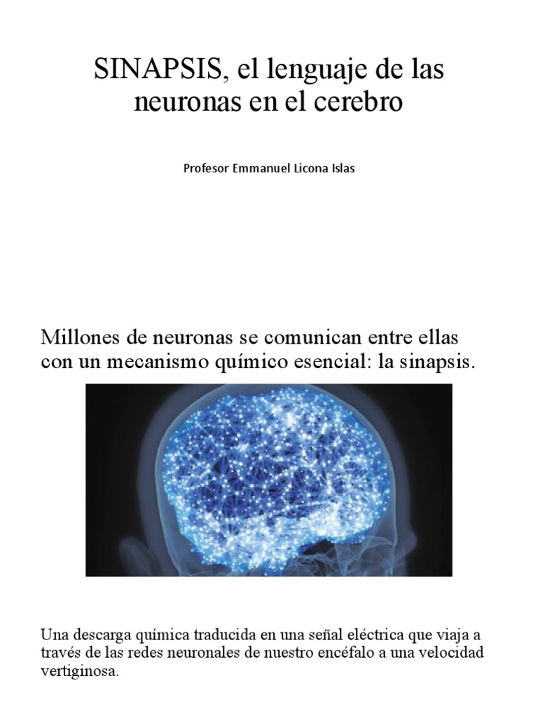 SINAPSIS, El Lenguaje de Las Neuronas en | PDF