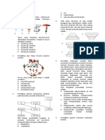 Un Bio 2018 - PBT