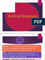 Animal Diseases