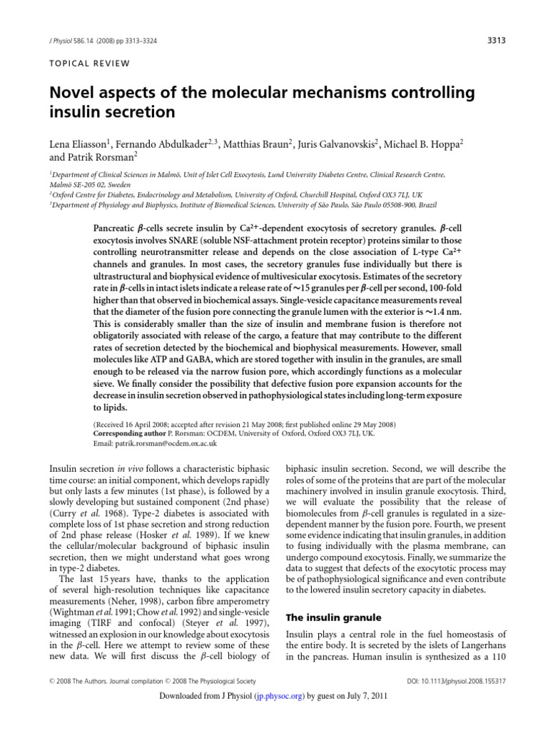Molecular Mechanisms of Insulin Secretion | PDF | Secretion | Insulin