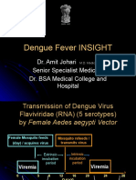 Dengue Insight DR Amit Johari Edited 2020
