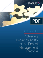 Achieving Business Agility in The Project Management Lifecycle