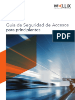 2020 WP Guia de Seguridad de Accesos