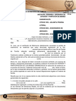 Instaura Demanda Ordinaria de División y Partición de Bienes