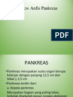 Anfis Pankreas