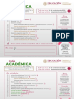 Guia Academica_NEM 201109