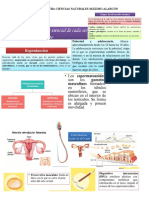 Resumen Ciencias Maximo