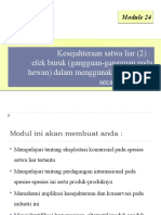 42023_Module 24 Kesejahteraan Satwa Liar (2) Efek Buruk (Gangguan-gangguan Pada Hewan) Dalam Menggunakan Satwa Liar Secara k