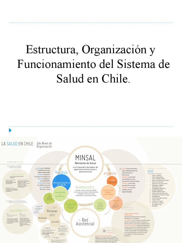 Estructura del Sistema de Salud en Chile | PDF | Hospital | Medicina ...