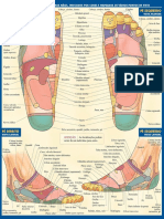 Reflexologia Pes