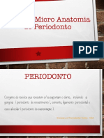 Macro e Micro Anatomia Do Periodonto