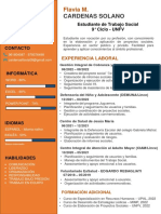 CV Actualizado-Flavia Cardenas