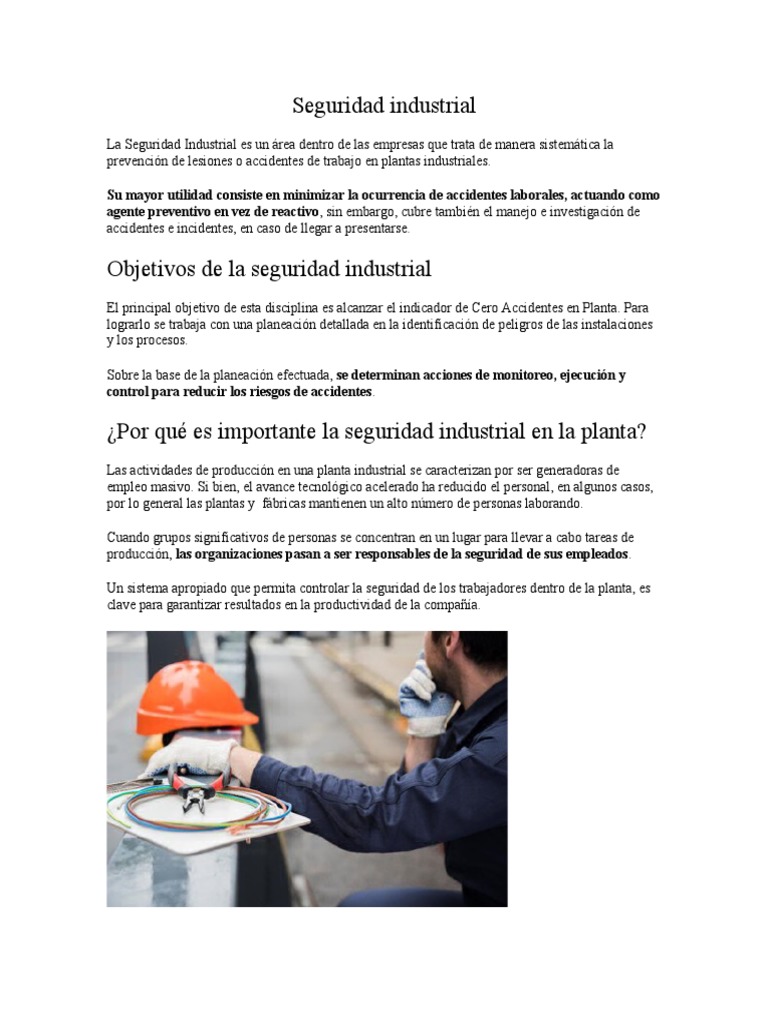 Seguridad Industrial Pdf