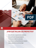 DPP Módulo 01: Razones de falla de proyectos y estructuras organizacionales