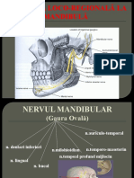 Anestezia LR Mandibula