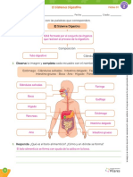 2 Cta5 U2 El Sistema Digestivo Docente