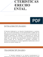 CARACTERÍSTICAS DEL DERECHO AMBIENTAL