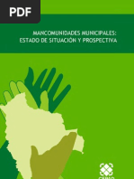 Las Mancomunidades Municipales en Bolivia (2009)