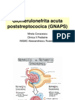 Glomerulonefrita Acuta Poststreptococica