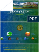 ECOSYSTEM ES Presentation