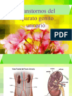 Infecciones de Vias Urinarias