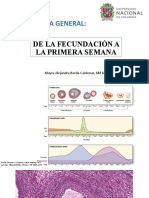 Fecundacion A La Primera Semana