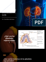 Enf. Glandulas Suprarenales