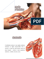 Aula 3 Desfiladeiro Torácico