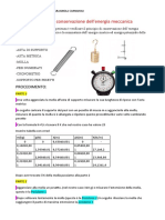 Relazione Fisica Termologia