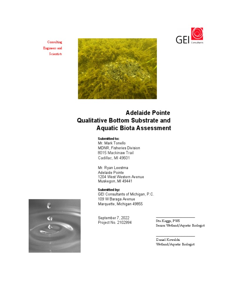Adelaide Pointe Aquatic Biota Bottom Substrate Report | PDF | Littoral ...