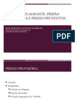 Prisão Provisória: Flagrante, Preventiva e Temporária