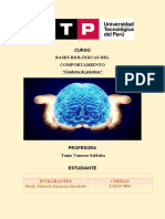 Tarea 4 Bases Biologicas