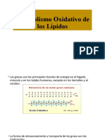 Metabolismo Oxidativo de Los Lípidos