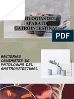 Patologias Del Aparato Gatrointestinal