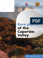 rare-plants-of-the-capertee-valley