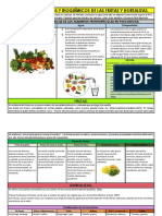 Mecanismos Físicos y Bioquímicos de Las Frutas y Hortalizas