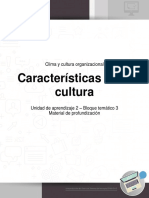 Profundización - Características de La Cultura Organizacional