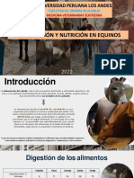 Transtornos Nutricionales en EQUINOS