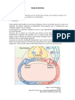 Toma de Biopsia