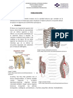 Técnica de Toracos