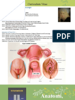 Anatomi (SSK), Perjalanan Alamiah dan Patofisiologi Kanker Serviks
