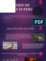 Extinction of Animals in Peru