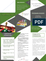 Trifolio Estadistica