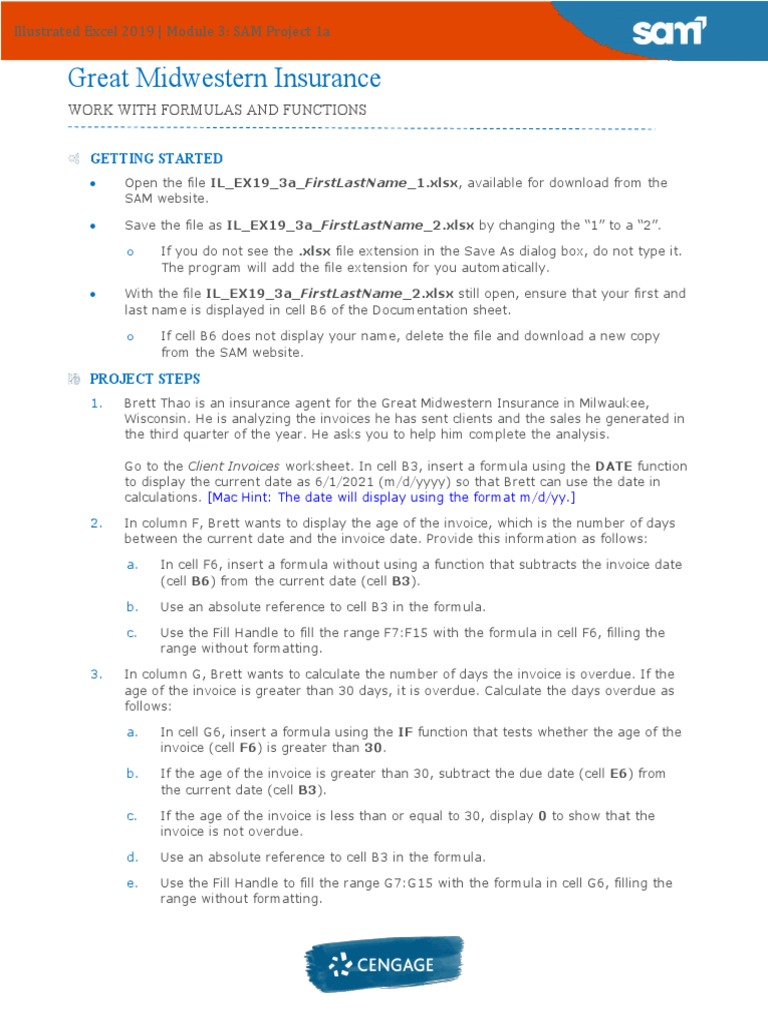 Instructions IL EX19 3a | Download Free PDF | Microsoft Excel | Computing